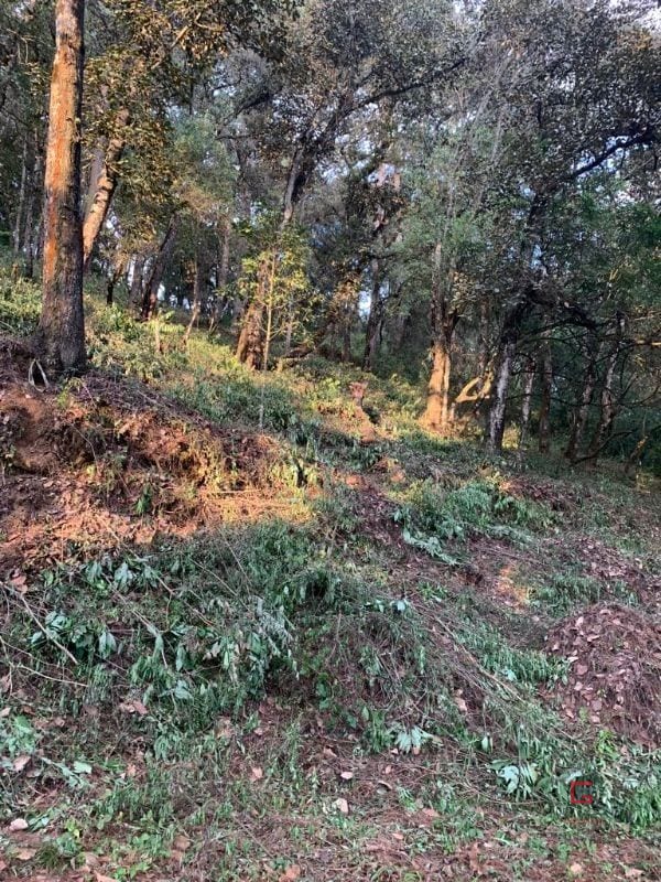 Terreno El Encinal  — Terreno en Venta en El Encinal, Zona 7 Mixco, Guatemala, Ciudad — foto 3 de 5