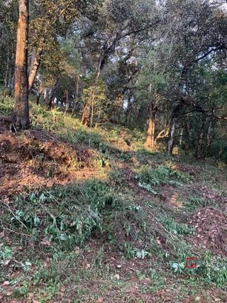 Terreno El Encinal  — Terreno en Venta en El Encinal, Zona 7 Mixco, Guatemala, Ciudad — miniatura 3 de 5