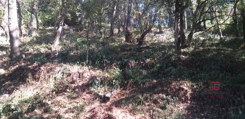 Terreno El Encinal  — Terreno en Venta en El Encinal, Zona 7 Mixco, Guatemala, Ciudad — foto 5 de 5
