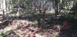 Terreno El Encinal  — Terreno en Venta en El Encinal, Zona 7 Mixco, Guatemala, Ciudad — miniatura 5 de 5