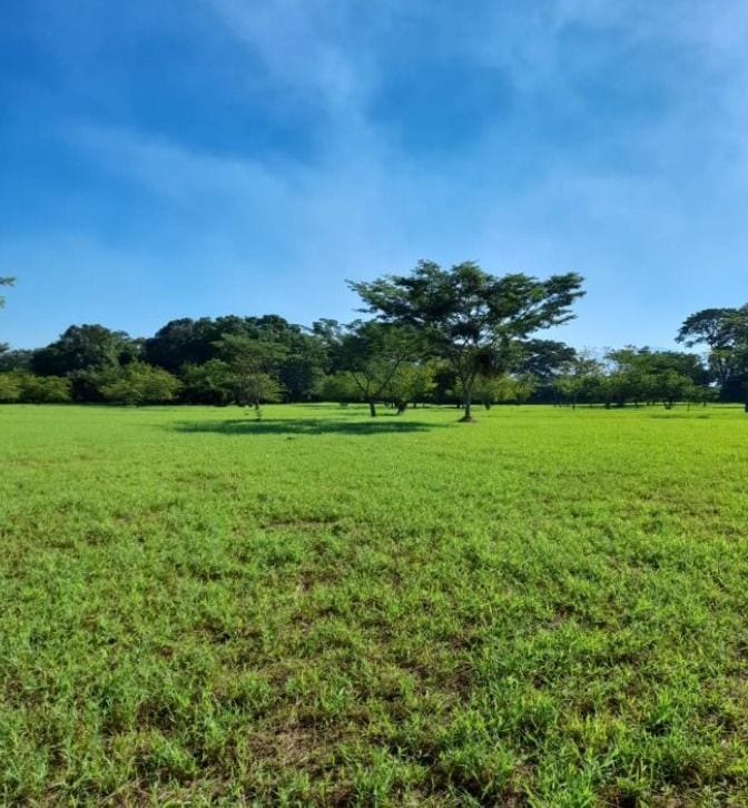 Alquilo terreno en parque industrial en Escuintla — Terreno en Alquiler en Escuintla, Escuintla — foto 2 de 4