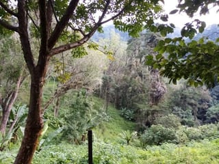 TERRENO EN VENTA EN MUXBAL — Terreno en Venta en Muxbal, Guatemala, Ciudad — miniatura 2 de 3