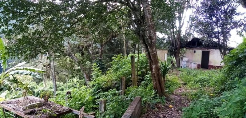 TERRENO EN VENTA EN MUXBAL — Terreno en Venta en Muxbal, Guatemala, Ciudad — foto 3 de 3