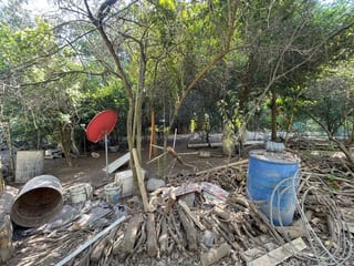 VENDO TERRENO CON PRODUCCION DE BAMBÚ EN PUERTO SAN JOSE — Terreno en Venta en Puerto San José, Escuintla — miniatura 3 de 13