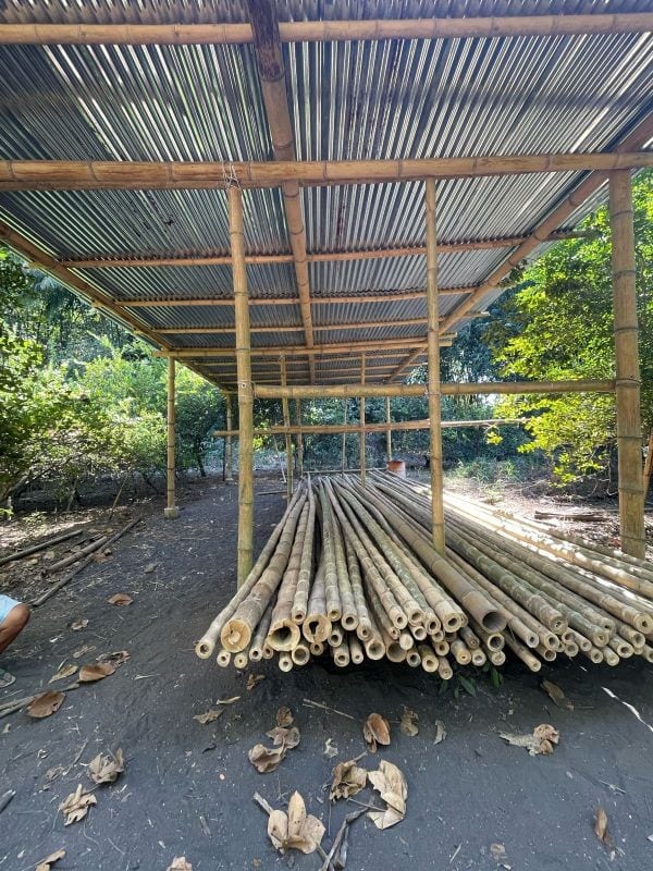 VENDO TERRENO CON PRODUCCION DE BAMBÚ EN PUERTO SAN JOSE — Terreno en Venta en Puerto San José, Escuintla — foto 5 de 13