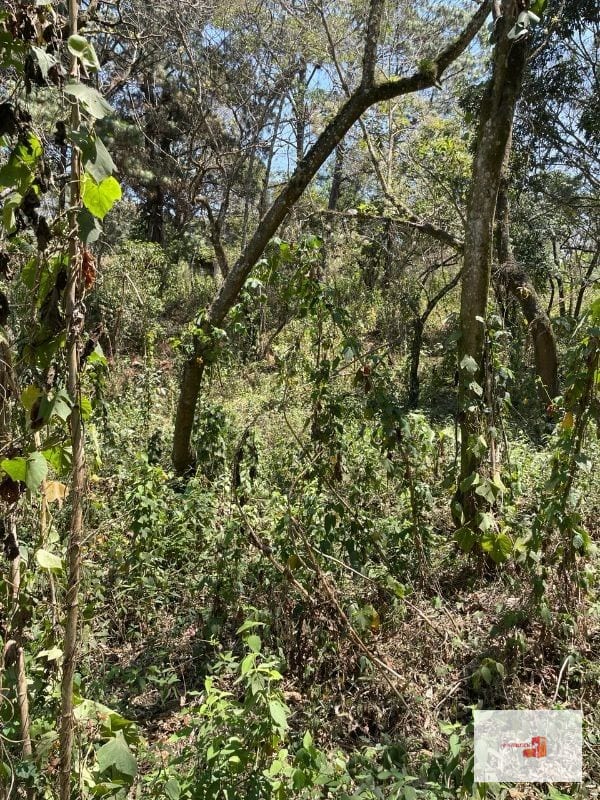 Venta de terreno en Lotificación — Terreno en Venta en Santa Catarina Pinula, Guatemala, Ciudad — foto 3 de 4