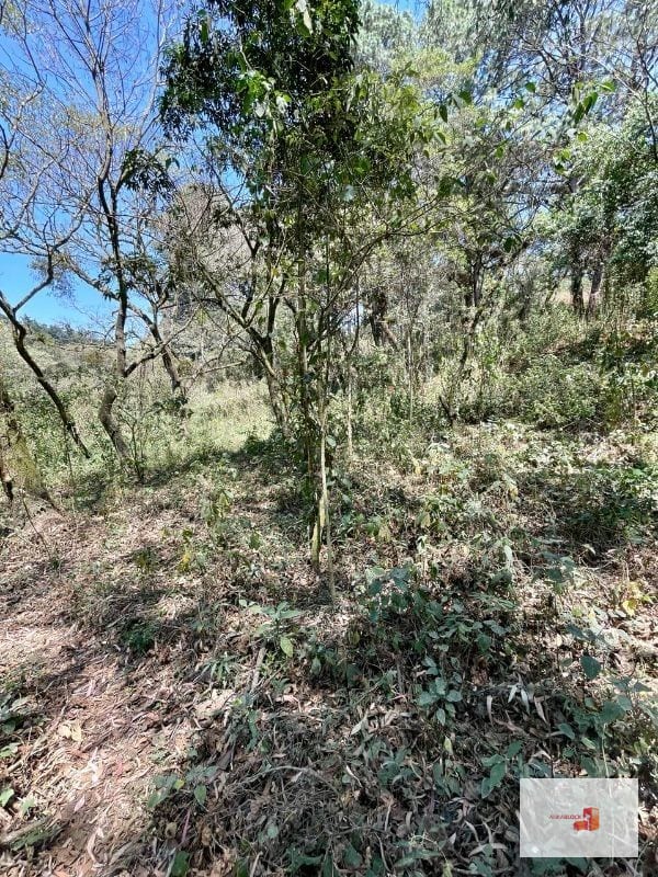 Venta de terreno en Lotificación — Terreno en Venta en Santa Catarina Pinula, Guatemala, Ciudad — foto 2 de 4