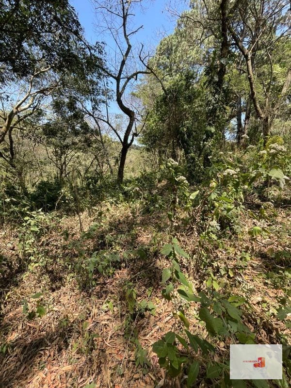 Venta de terreno en Lotificación — Terreno en Venta en Santa Catarina Pinula, Guatemala, Ciudad — foto 4 de 4