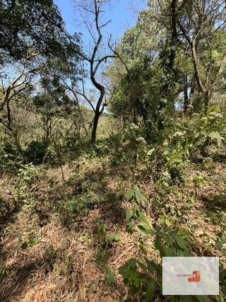 Venta de terreno en Lotificación — Terreno en Venta en Santa Catarina Pinula, Guatemala, Ciudad — miniatura 4 de 4