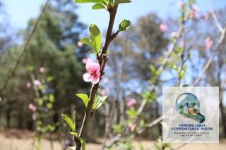 Lindo Terreno en venta zona 1 de Quetzaltenango — Terreno en Venta en Quetzaltenango, Quetzaltenango — miniatura 12 de 16