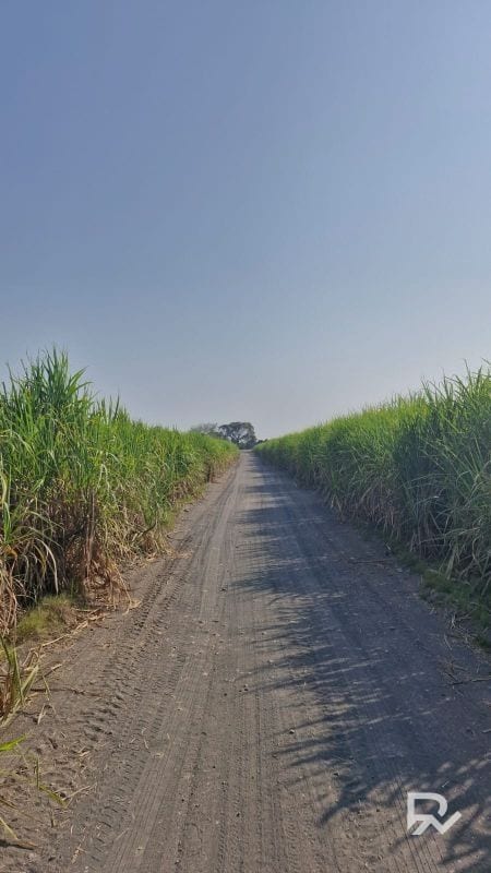 Vendo terreno en antigua carretera Puerto de San José a orilla de carretera — Terreno en Venta en Puerto San José, Escuintla — foto 7 de 8
