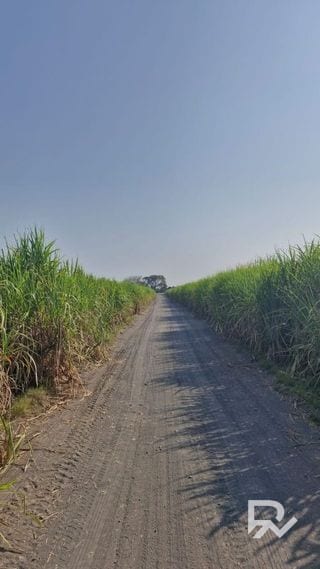 Vendo terreno en antigua carretera Puerto de San José a orilla de carretera — Terreno en Venta en Puerto San José, Escuintla — miniatura 7 de 8