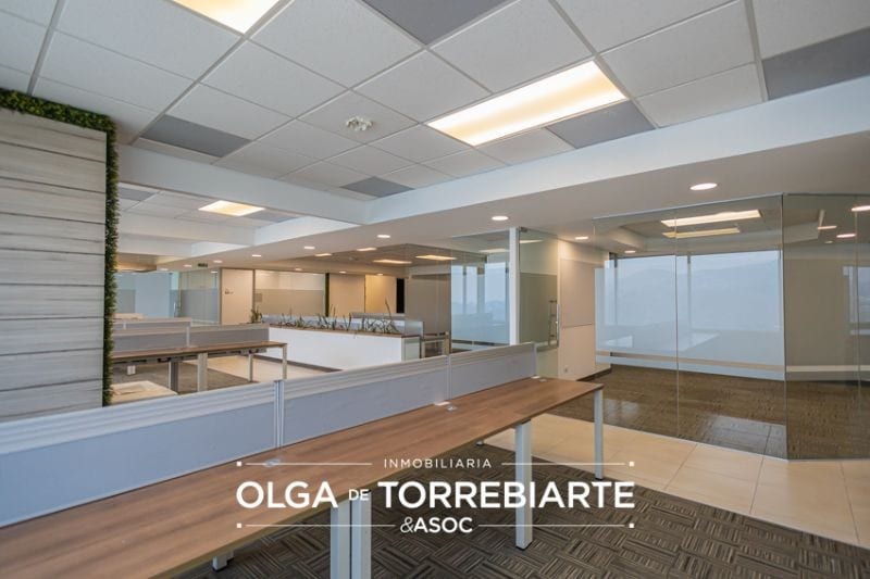 Penthouse en Zona Pradera, zona 10 — Oficina en Alquiler en Zona Pradera, Zona 10, Guatemala, Ciudad — foto 6 de 16