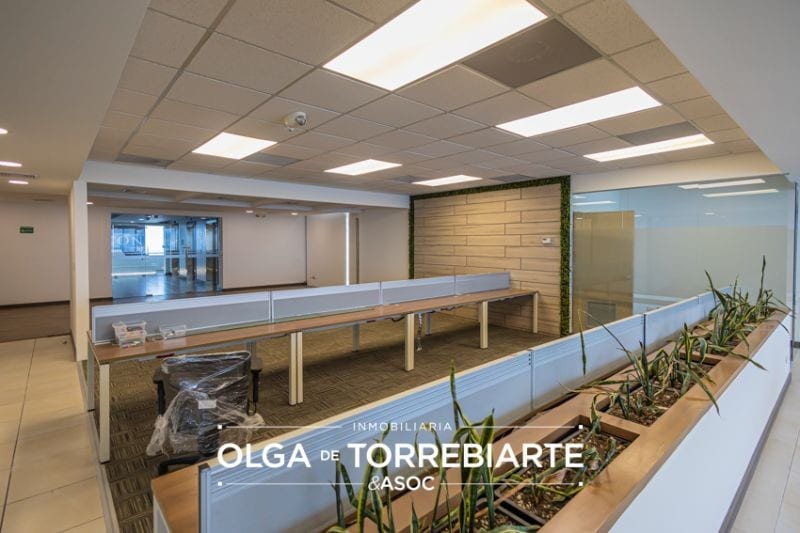 Penthouse en Zona Pradera, zona 10 — Oficina en Alquiler en Zona Pradera, Zona 10, Guatemala, Ciudad — foto 13 de 16