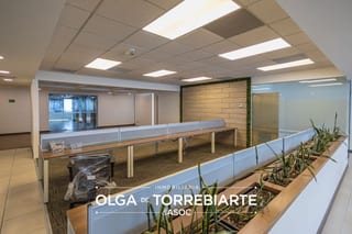 Penthouse en Zona Pradera, zona 10 — Oficina en Alquiler en Zona Pradera, Zona 10, Guatemala, Ciudad — miniatura 13 de 16