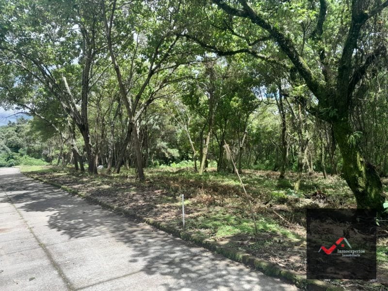 TERRENO EN VENTA EN CARRETERA A EL SALVADOR CONDOMINIO CASA Y CAMPO INMEDIATO A LA VAS  KM 23.5 — Terreno en Venta en Carretera a El Salvador, Guatemala, Ciudad — foto 8 de 9
