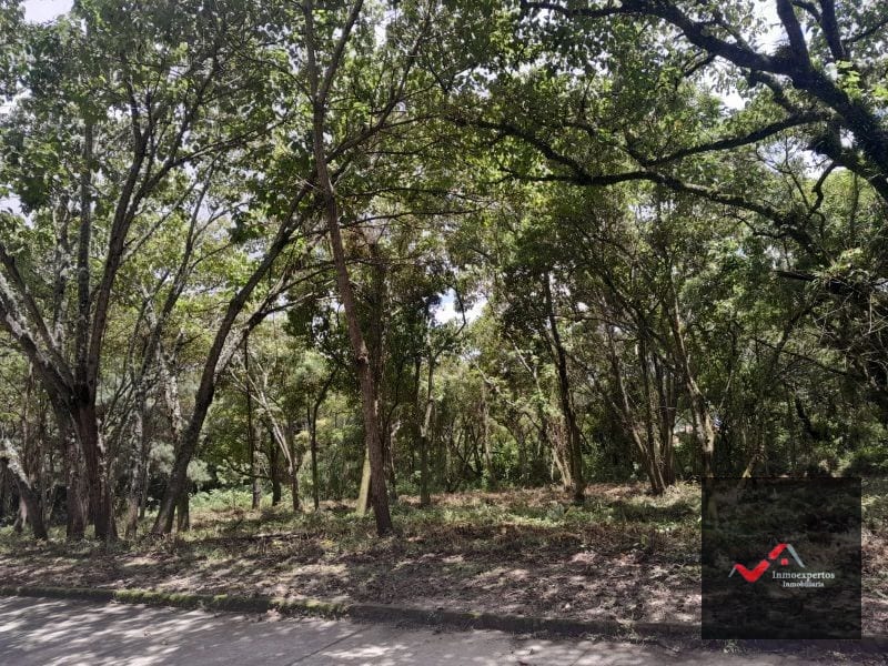 TERRENO EN VENTA EN CARRETERA A EL SALVADOR CONDOMINIO CASA Y CAMPO INMEDIATO A LA VAS  KM 23.5 — Terreno en Venta en Carretera a El Salvador, Guatemala, Ciudad — foto 6 de 9