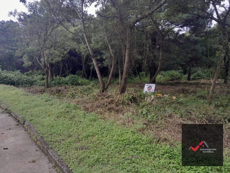 TERRENO EN VENTA CARRETERA A EL SALVADOR KM 23.5 CASA Y CAMPO — Terreno en Venta en Carretera a El Salvador, Guatemala, Ciudad — foto 9 de 9