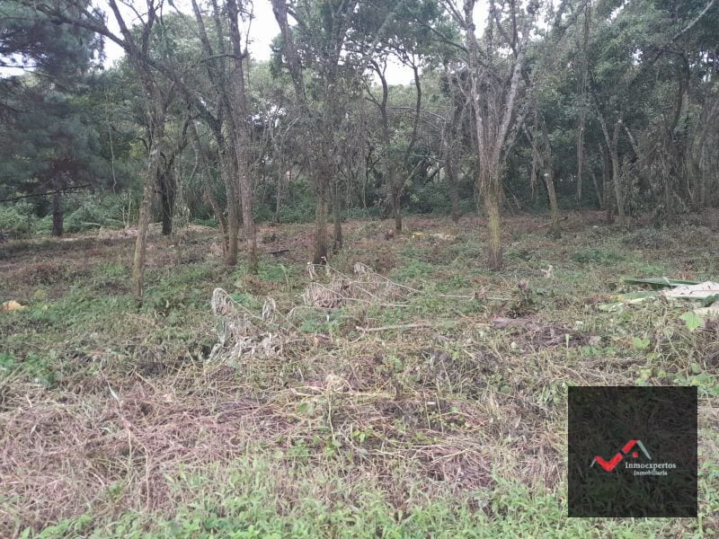 TERRENO EN VENTA CARRETERA A EL SALVADOR  CASA Y CAMPO  KM. 23.5  — Terreno en Venta en Carretera a El Salvador, Guatemala, Ciudad — foto 2 de 9