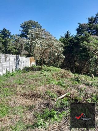 TERRENO EN VENTA CARRETERA A EL SALVADOR KM 23.5 CASA Y CAMPO — Terreno en Venta en Carretera a El Salvador, Guatemala, Ciudad — miniatura 7 de 9
