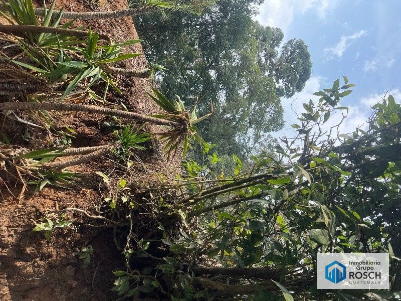 Terreno en Aldea El Rosario — Terreno en Venta en Cento, Santa Catarina Pinula, Guatemala, Ciudad — foto 3 de 11