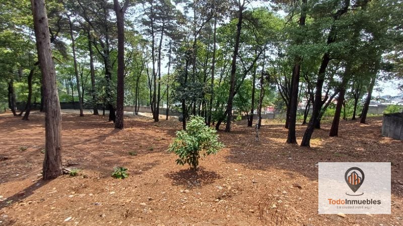 Terreno en Venta en km 21.5 Carretera Panamericana (San Lucas a Guatemala) — Terreno en Venta en Zona 1 Mixco, Guatemala, Ciudad — foto 2 de 9