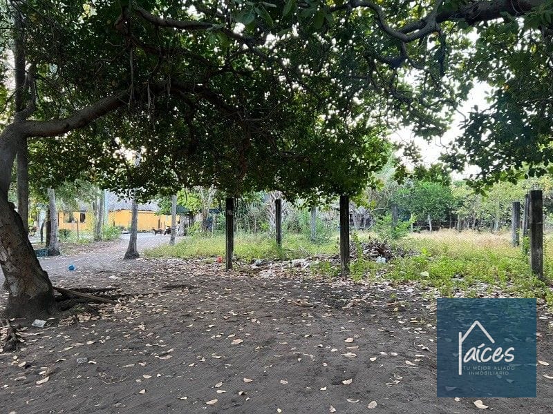 Terreno en venta en MONTERRICO ideal para desarrollar hotel (D) — Terreno en Venta en Costa Sur, Escuintla — foto 9 de 11