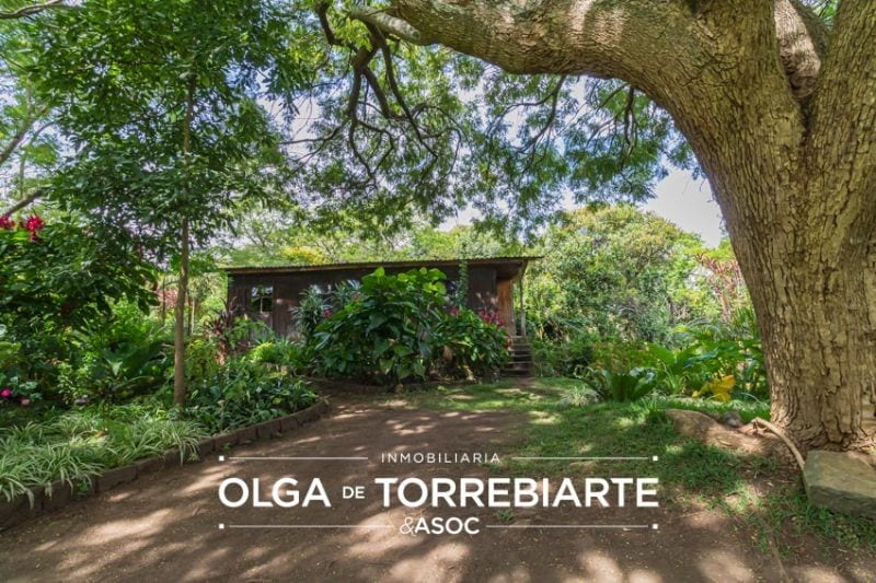 Terreno en Atitlan, Pajaibal de la Sirena — Terreno en Venta en Cerro de Oro, Sololá — foto 4 de 13