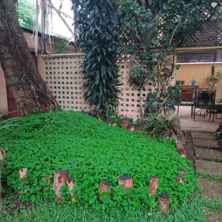 OFICINA EN RENTA EN ZONA 10, 20 CALLE — Oficina en Alquiler en Zona 10, Guatemala, Ciudad — miniatura 6 de 8