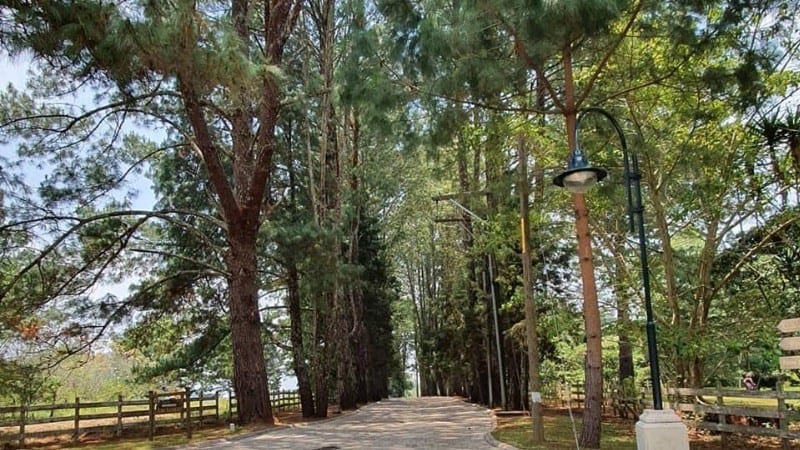 VENTA TERRENO EN SANTA ELENA DEL LAGO.  Km. 32 SANTA ELENA BARILLAS — Terreno en Venta en Santa Elena Barillas, Guatemala, Ciudad — foto 15 de 16