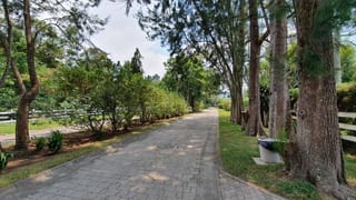 VENTA TERRENO EN SANTA ELENA DEL LAGO.  Km. 32 SANTA ELENA BARILLAS — Terreno en Venta en Santa Elena Barillas, Guatemala, Ciudad — miniatura 14 de 16