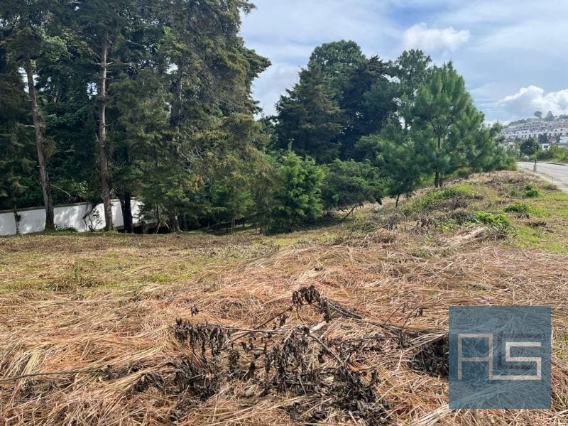 Terreno amplio en venta en Lomas de San Isidro, zona 16 — Terreno en Venta en Lomas de San Isidro, Zona 16, Guatemala, Ciudad — foto 2 de 6