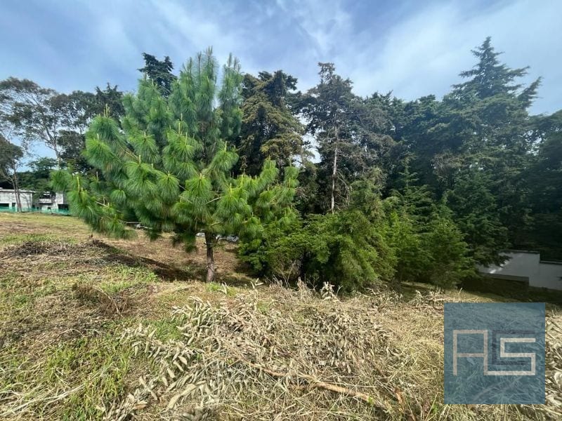 Terreno amplio en venta en Lomas de San Isidro, zona 16 — Terreno en Venta en Lomas de San Isidro, Zona 16, Guatemala, Ciudad — foto 3 de 6