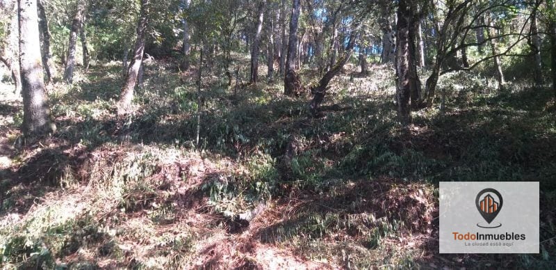 Terreno en Venta en El Encinal Tronco 10 — Terreno en Venta en El Encinal, Zona 7 Mixco, Guatemala, Ciudad — foto 4 de 4