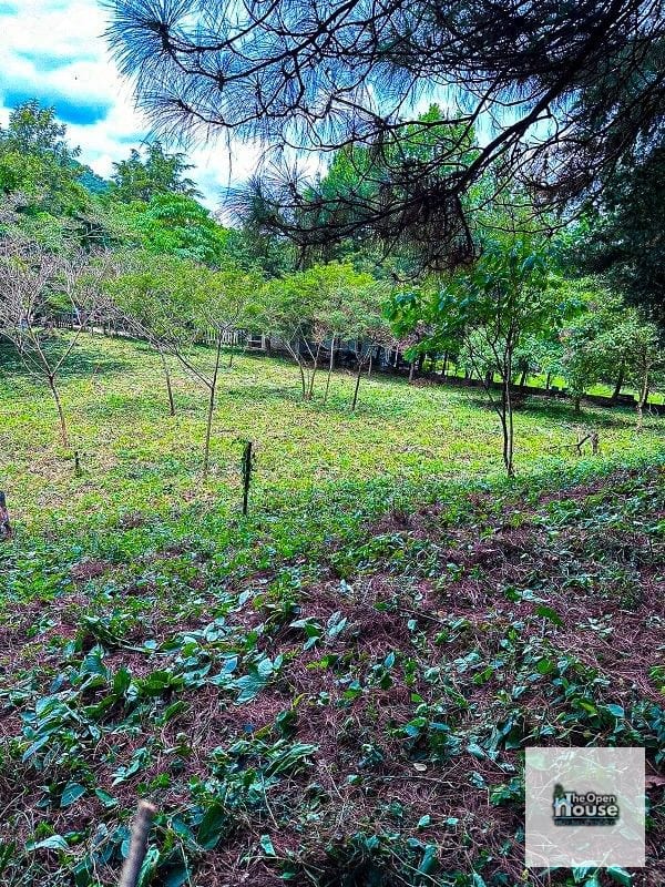 Terrenos en venta en Granjas el Paraiso Fraijanes Guatemala — Terreno en Venta en Carretera a El Salvador, Guatemala, Ciudad — foto 4 de 7
