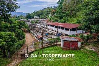 Finca en Pueblo Nuevo Viñas  — Finca en Venta en Pueblo Nuevo Viñas, Santa Rosa — miniatura 2 de 17