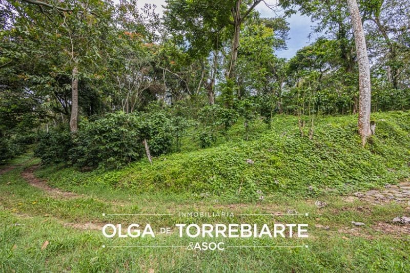 Finca en Pueblo Nuevo Viñas  — Finca en Venta en Pueblo Nuevo Viñas, Santa Rosa — foto 4 de 17