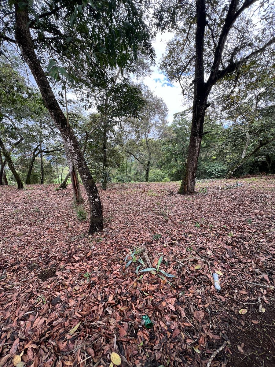 Vendo terreno Pulté Golf — Terreno en Venta en El Pulté, Zona 16, Guatemala, Ciudad — foto 3 de 7