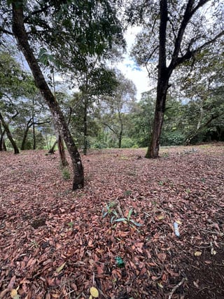 Vendo terreno Pulté Golf — Terreno en Venta en El Pulté, Zona 16, Guatemala, Ciudad — miniatura 3 de 7