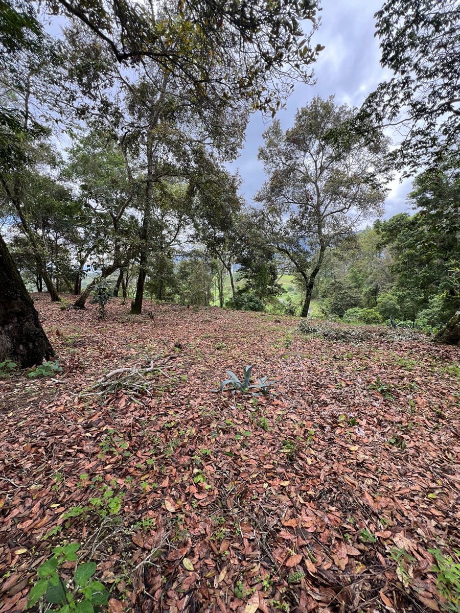 Vendo terreno Pulté Golf — Terreno en Venta en El Pulté, Zona 16, Guatemala, Ciudad — foto 4 de 7