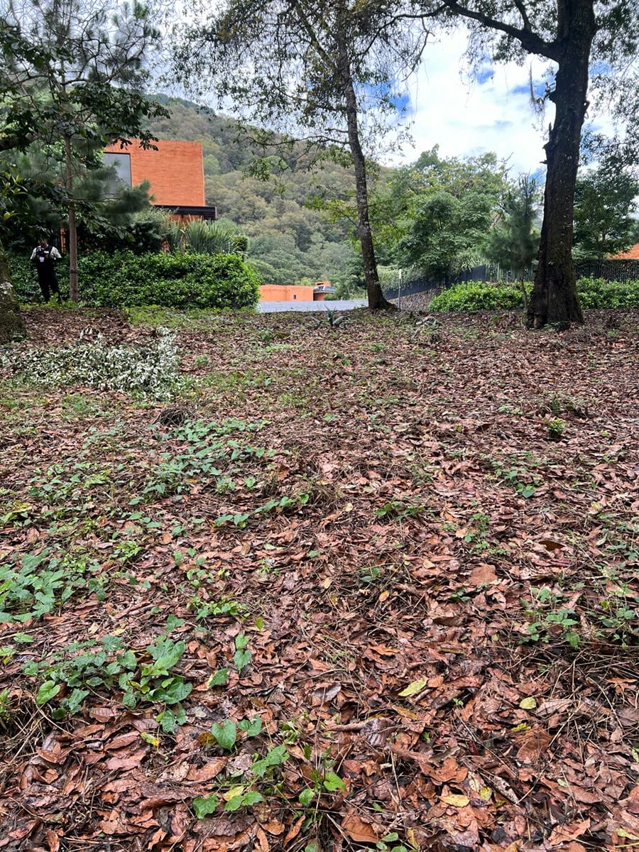 Vendo terreno Pulté Golf — Terreno en Venta en El Pulté, Zona 16, Guatemala, Ciudad — foto 1 de 7
