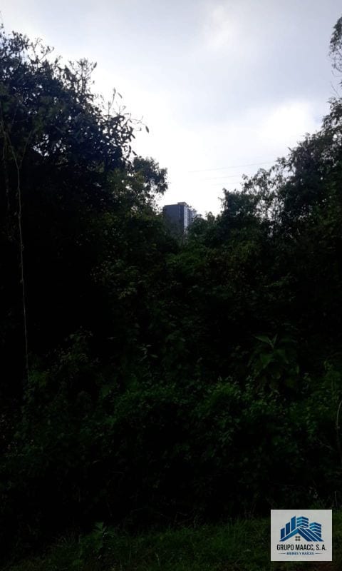 Vendo Terreno en Fraijanes Carretera a el Salvador — Terreno en Venta en Fraijanes, Carretera a El Salvador, Guatemala, Ciudad — foto 8 de 13