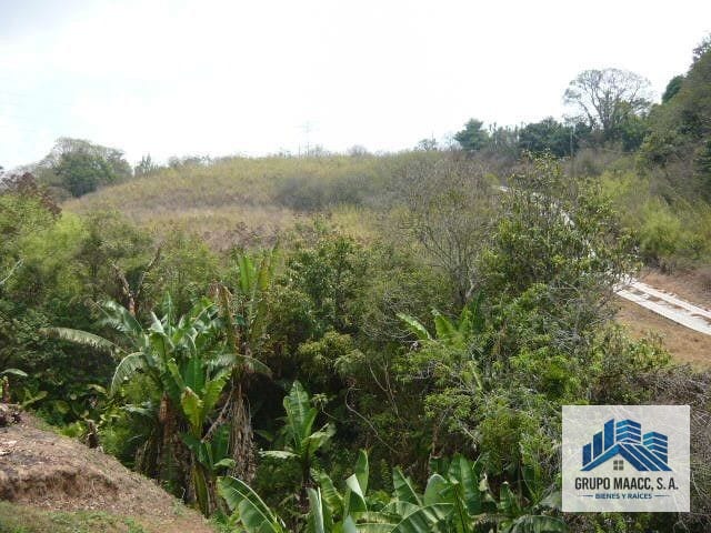 Vendo Terreno en Fraijanes Carretera a el Salvador — Terreno en Venta en Fraijanes, Carretera a El Salvador, Guatemala, Ciudad — foto 12 de 13