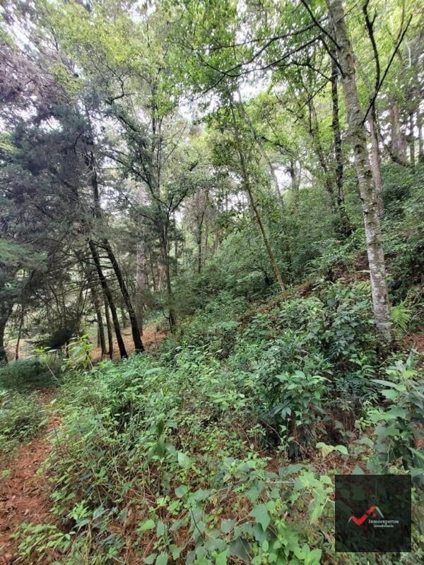 TERRENO EN VENTA SAN LUCAS, SACATEPEQUEZ  — Terreno en Venta en San Lucas Sacatepéquez, Sacatepéquez — foto 11 de 12