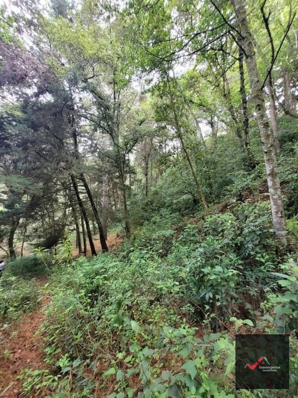 TERRENO EN VENTA SAN LUCAS, SACATEPEQUEZ  — Terreno en Venta en San Lucas Sacatepéquez, Sacatepéquez — foto 7 de 12