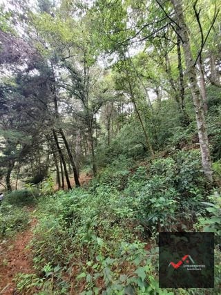 TERRENO EN VENTA SAN LUCAS, SACATEPEQUEZ  — Terreno en Venta en San Lucas Sacatepéquez, Sacatepéquez — miniatura 7 de 12