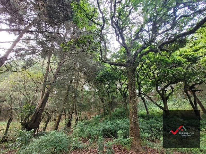 TERRENO EN VENTA SAN LUCAS, SACATEPEQUEZ  — Terreno en Venta en San Lucas Sacatepéquez, Sacatepéquez — foto 8 de 12