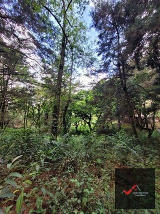 TERRENO EN VENTA SAN LUCAS, SACATEPEQUEZ  — Terreno en Venta en San Lucas Sacatepéquez, Sacatepéquez — miniatura 4 de 12