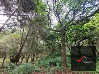 TERRENO EN VENTA SAN LUCAS, SACATEPEQUEZ  — Terreno en Venta en San Lucas Sacatepéquez, Sacatepéquez — miniatura 9 de 12
