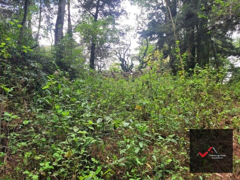 TERRENO EN VENTA SAN LUCAS, SACATEPEQUEZ  — Terreno en Venta en San Lucas Sacatepéquez, Sacatepéquez — foto 3 de 12